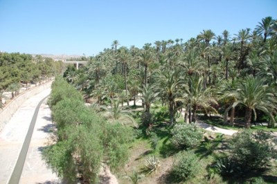 Río Vinolopó und der Parque Municipal in Elche