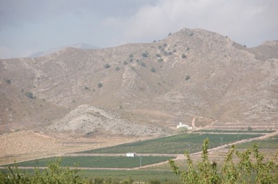 Sierra Salinas