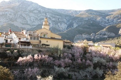 Famorca während der Mandelblüte