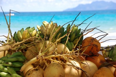 Tropische Früchte am Meer.JPG