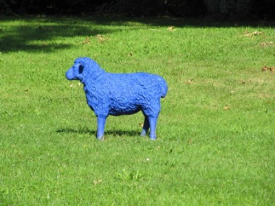 Blaues Schaf.jpg