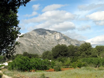 Blick über Les Planes auf den Montgó ...