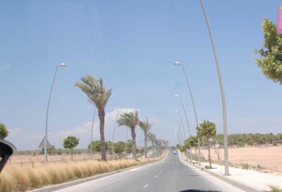 Palmenallee