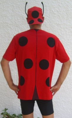 Flieg, Käferchen, flieg