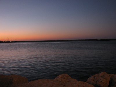 IMG_7709.JPG