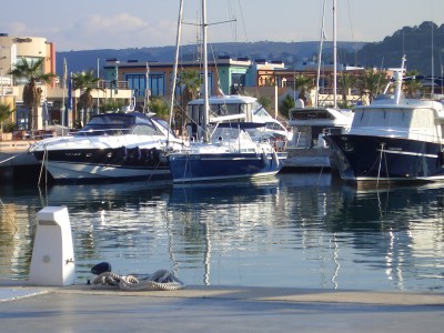 Club Náutico Dénia