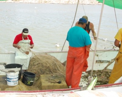 Fischer pflegen ihre Netze am Segura.JPG
