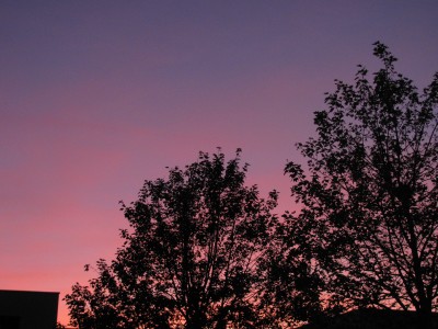 IMG_7819.JPG