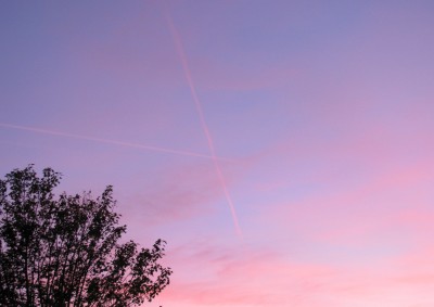 IMG_7817.JPG