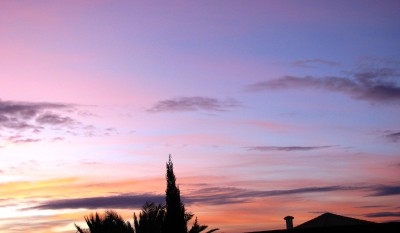 IMG_7846.JPG