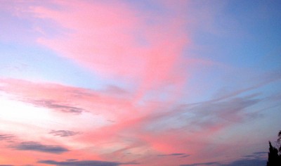 IMG_7848.JPG