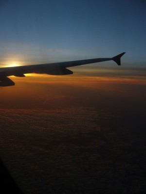 P1000341.JPG
