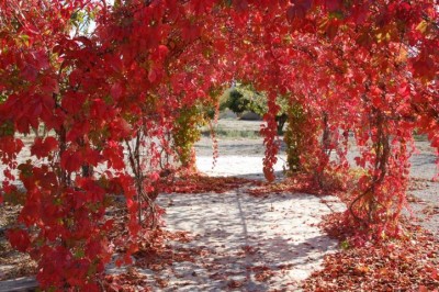 K640_Herbst1.JPG