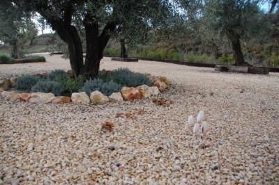 K640_DSC_0111.JPG (123.42 KiB) 5072 mal betrachtet Bei unserer Ankunft schien schon wieder verhalten die Sonne. Dieses Mal spross kein "UN"Kraut aus dem Kies auf unserem Parkplatz, sondern verschiedene Sorten Pilze.