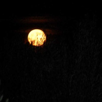 Gestern Abend