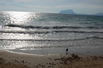 El Portet