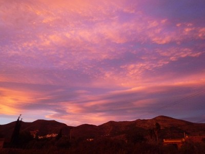 P1160029.JPG