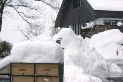 Schnee am 22.12.2011 in FL