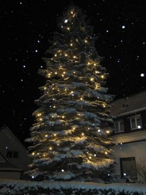 Weihnachtsbaum Nacht.jpg
