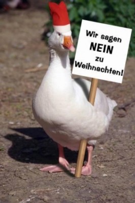 Neue Protestbewegung