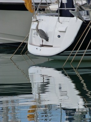 P1000037.JPG