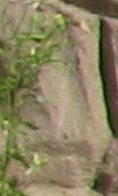 Rätsel1.JPG (61.02 KiB) 1051 mal betrachtet Hilft das?<br />Nein, nicht wirklich eine Mauer ...