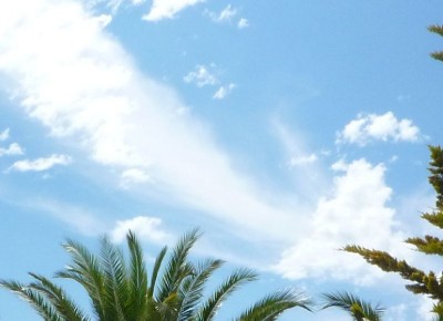 wolkenpfeil_kl.jpg