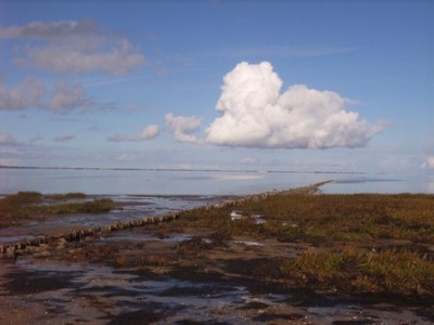 Sylt.jpg