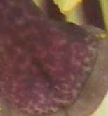 was ist das?