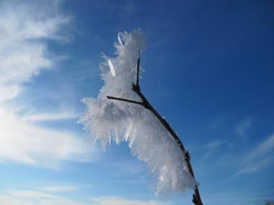 Frost.jpg