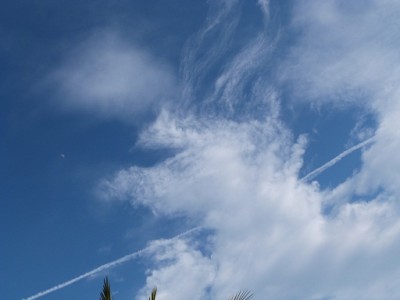 P1000009.JPG