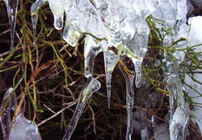 Eiszapfen.jpg
