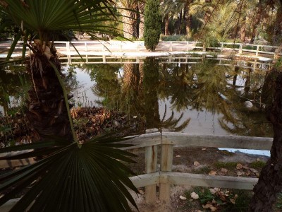 Palmenpark3.jpg