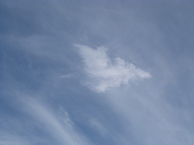 P1000011.JPG