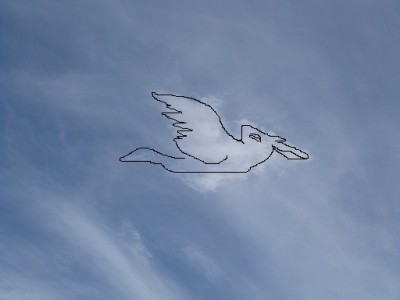 P1000011.JPG