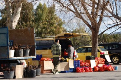 K800_Holz und Obst.JPG (121.89 KiB) 2121 mal betrachtet Brennholz, Obst und Gemüse entsprechend der Jahreszeit