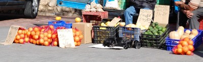 K800_Obst.JPG (158.83 KiB) 2916 mal betrachtet Für alle, die GÜNSTIG einkaufen wollen - und das kann man auch heute noch in Spanien!