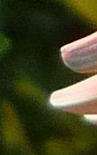 was ist das?