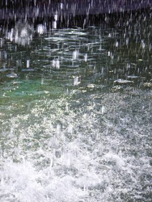 Wasser.jpg