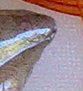 was ist das?