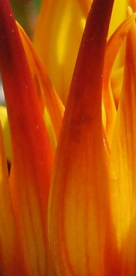 Rätsel.JPG (109.58 KiB) 1596 mal betrachtet Hat jemand eine Idee?