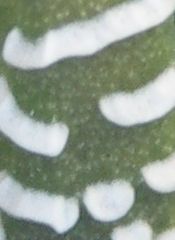 was ist das?