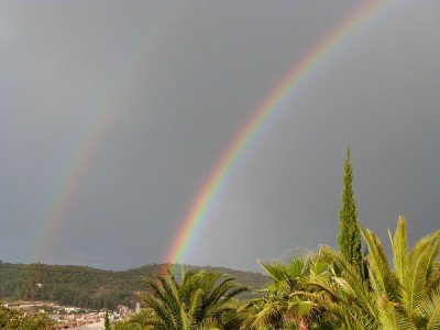 P1020057.JPG