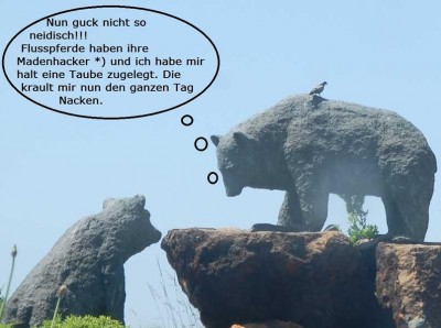 Bären1.JPG