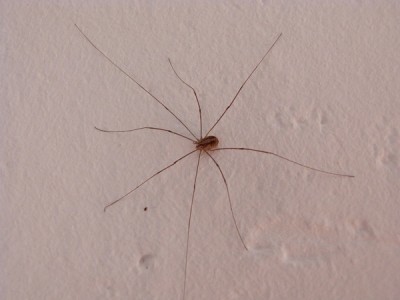 P1050001.JPG