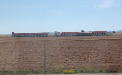 DSC_0657.JPG (66.73 KiB) 9016 mal betrachtet Die Erträge der riesigen Felder sichern das Futter der Tiere in zahllosen Massentierhaltungen. Beim Vorbeifahren zog die Klimaanlage den strengen Geruch ins Auto und umnebelten Fahrer und Beifahrerin, also mich ;-)