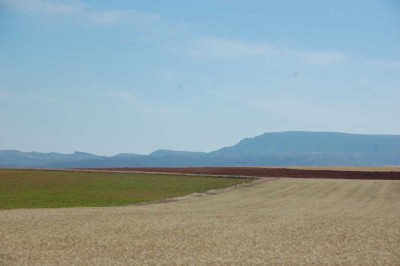 DSC_0677.JPG (91.03 KiB) 9016 mal betrachtet Fast schon herbstliche Farben