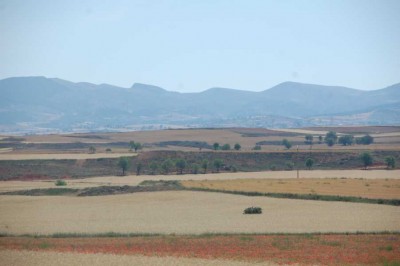 DSC_0681.JPG (94.08 KiB) 9016 mal betrachtet Die Felder waren Ende Juni schon fast überall abgeerntet