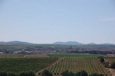 DSC_0698.JPG (99.37 KiB) 9016 mal betrachtet Wir kommen in ein Weinbaugebiet