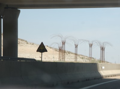 J- 12.44 - DSC_0715.JPG (818.31 KiB) 8319 mal betrachtet 12.44 Uhr Zwischen Zuera und Villanueva de Gállego findet man eine Ansammlung von Palmen aus rostigem Eisen.